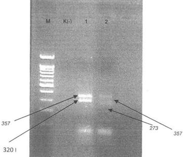 Aklama: Aklama: Aklama: 17_12-52_R-5